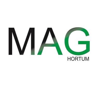 MAG Otomotiv