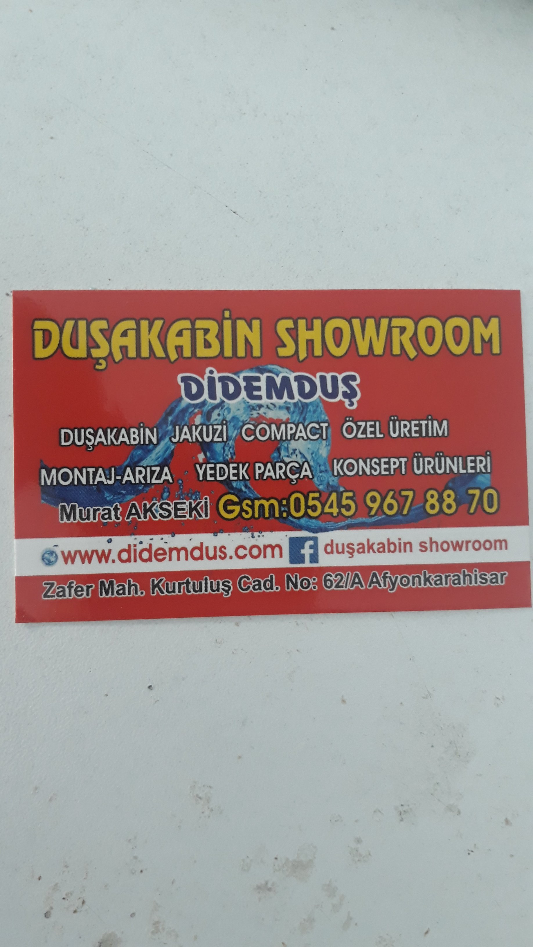 DİDEM DUŞAKABİN